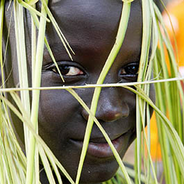Person Wearing Head Gear of Grass Person Wearing Head Gear of Grass
