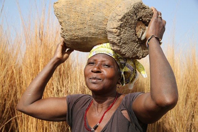 Woman in a Field