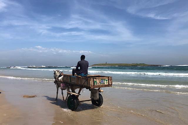 Man Riding a Cart on Beach