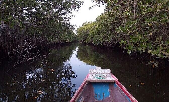 Sine-Saloum : Voyage au cœur du delta