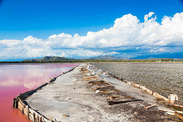 Lac Rose (Lac Retba) : Une merveille naturelle unique