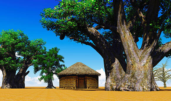 Les mystères du baobab, symbole national du Sénégal