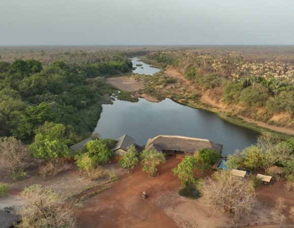 Parc National du Niokolo-Koba