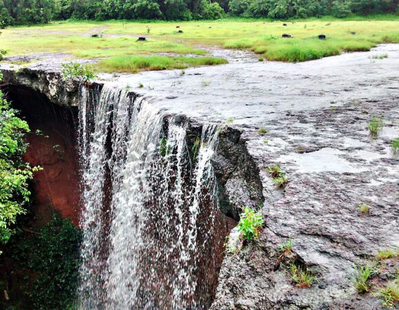 Forêt de Dindéfélo et Cascades de Dindefelo